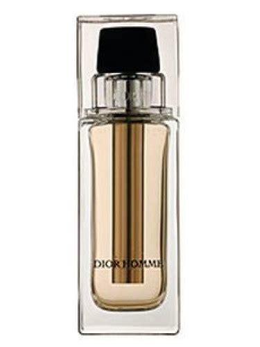 dior voyage